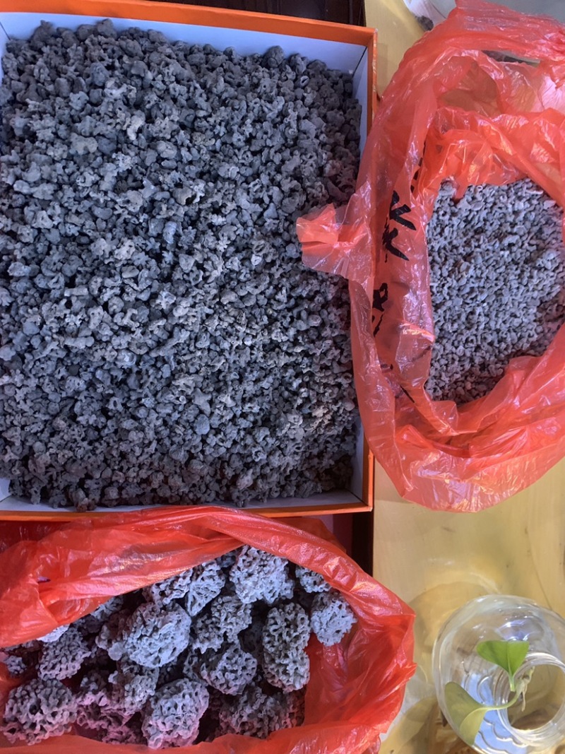***中药材海浮石花通货小花中花大花