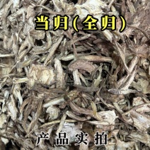 当归中药材全归当归节当归尾当归头片规格齐全