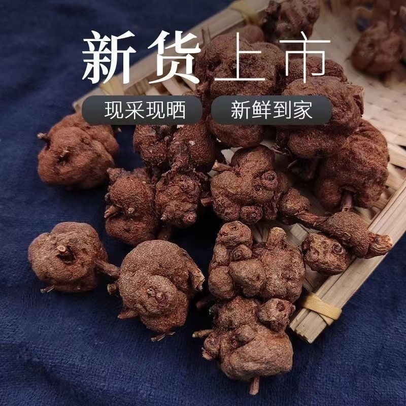 消瘤果中药材消瘤藤瘤子星毛黄花香果九头狮子金丝冠盖