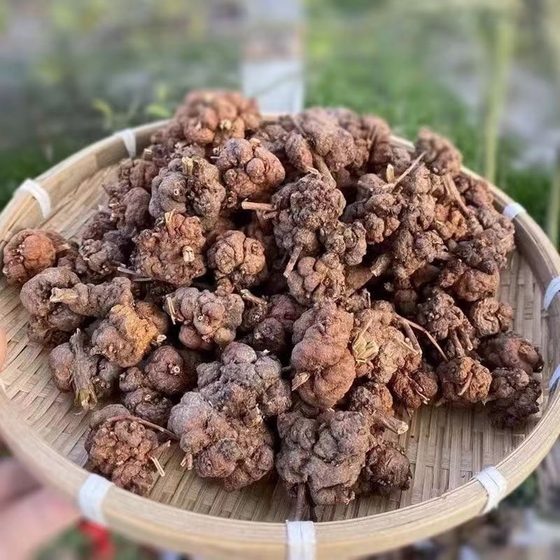 消瘤果中药材消瘤藤瘤子星毛黄花香果九头狮子金丝冠盖