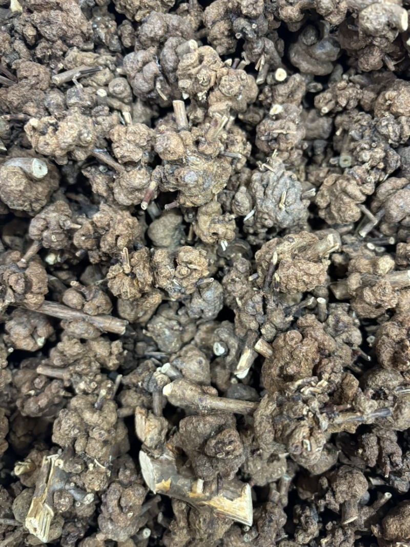 消瘤果中药材消瘤藤瘤子星毛黄花香果九头狮子金丝冠盖