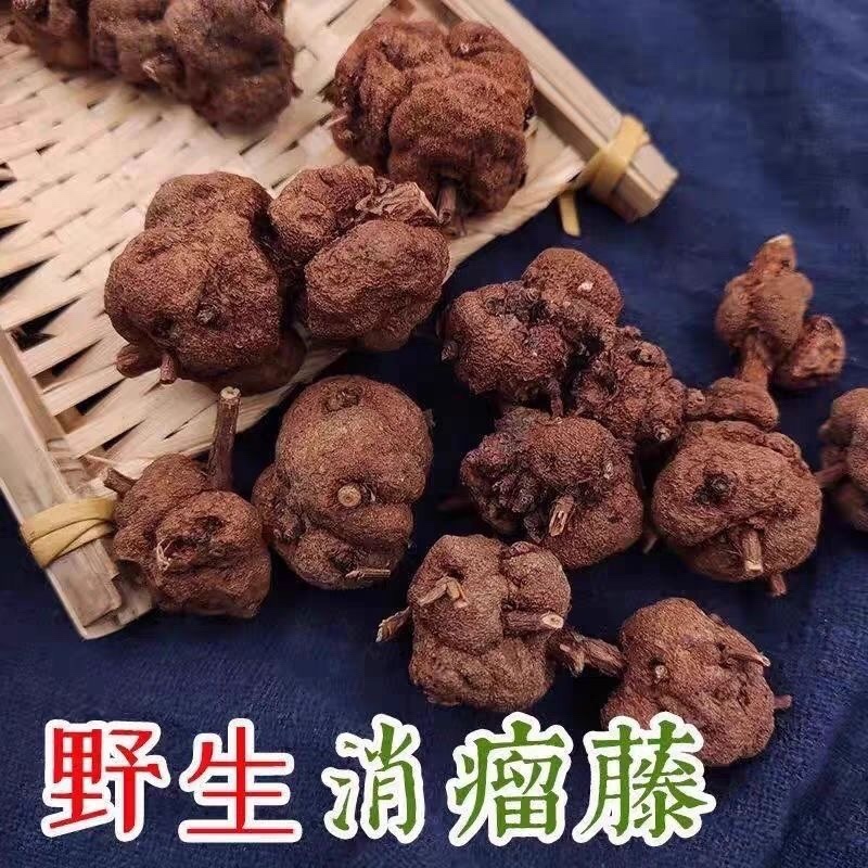 消瘤果中药材消瘤藤瘤子星毛黄花香果九头狮子金丝冠盖