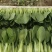 【精品】山东上海青油菜常年供货全渠道青菜欢迎咨询