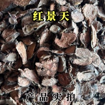 红景天中药材大株红景天片红景天个子规格齐全