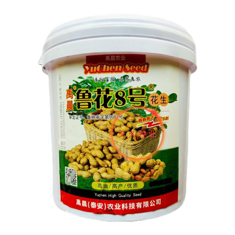 鲁花8号纯手工剥壳花生种子高产高出油薄皮大果荚果饱满抗旱