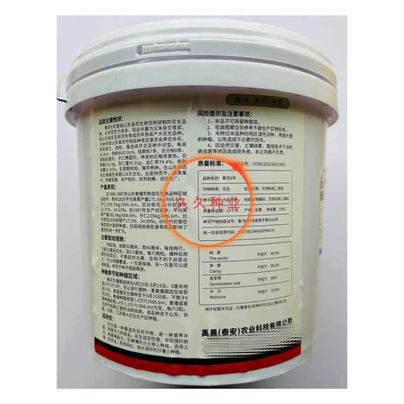 鲁花8号纯手工剥壳花生种子高产高出油薄皮大果荚果饱满抗旱