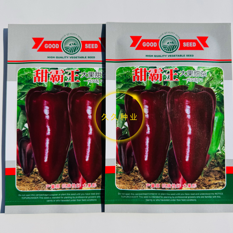 甜霸王新改良一代早熟大果甜杂种子味甜产量高长圆锥形甜椒种