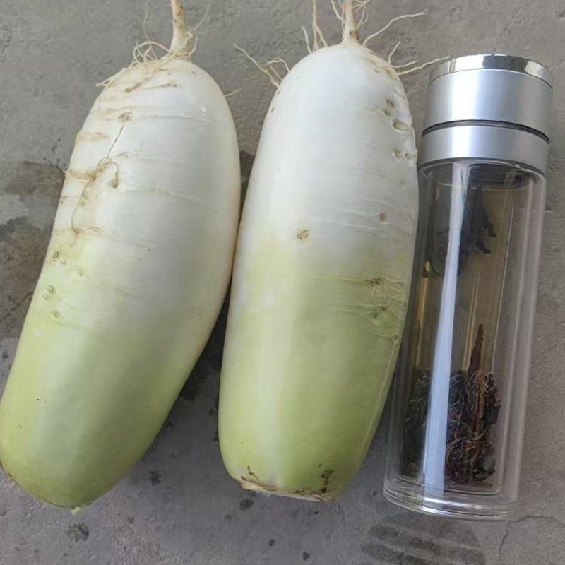 青萝卜对应市场，电商大量供应