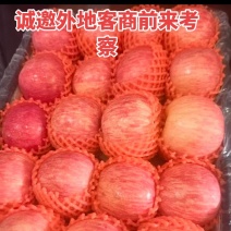 纸袋红富士冰糖心