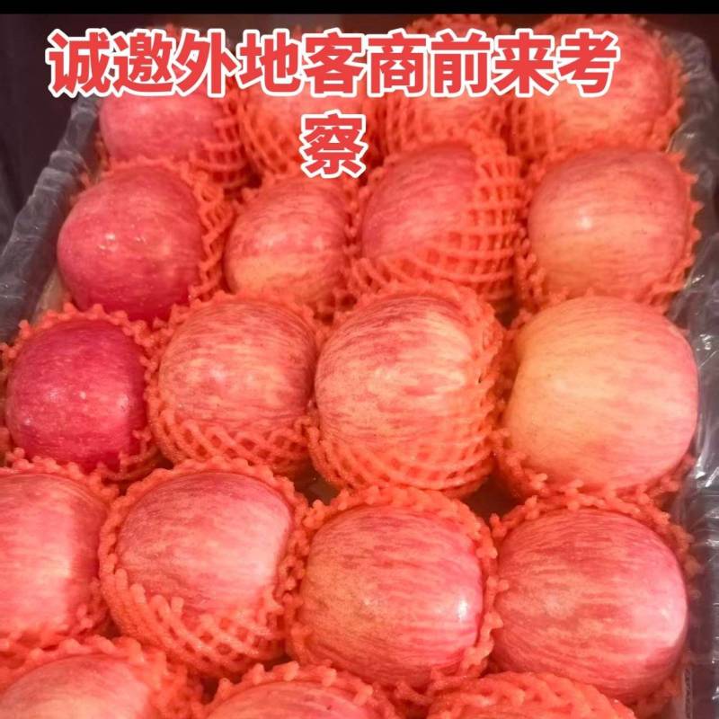 纸袋红富士冰糖心