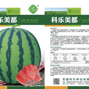 高端优质美都西瓜种子，出芽率高、抗病、高产、全国发货
