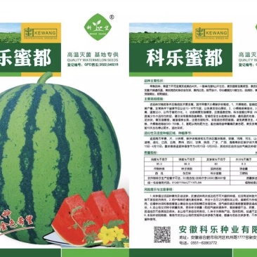 《热卖》高端优质西瓜种子、纯度高、出芽率高、全国发货