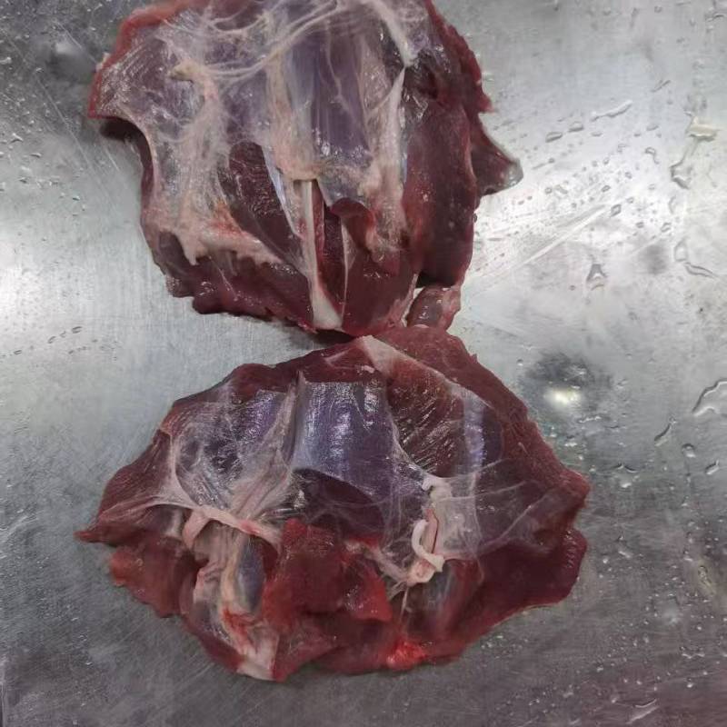 龟腱