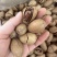 奶香味碧根果长寿果新疆特产薄皮满肉无坏果
