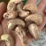 180大颗粒腰果紫衣无坏果高货