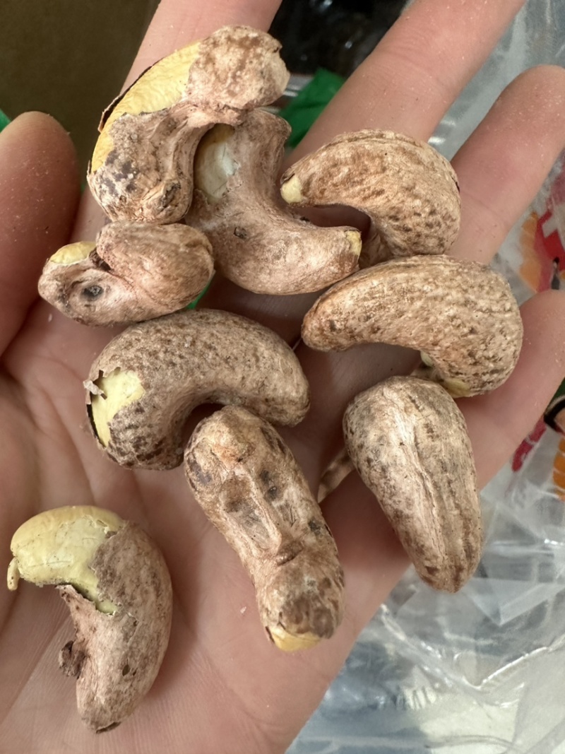 180大颗粒腰果紫衣无坏果高货
