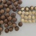 夏威夷果奶香味22-25大果