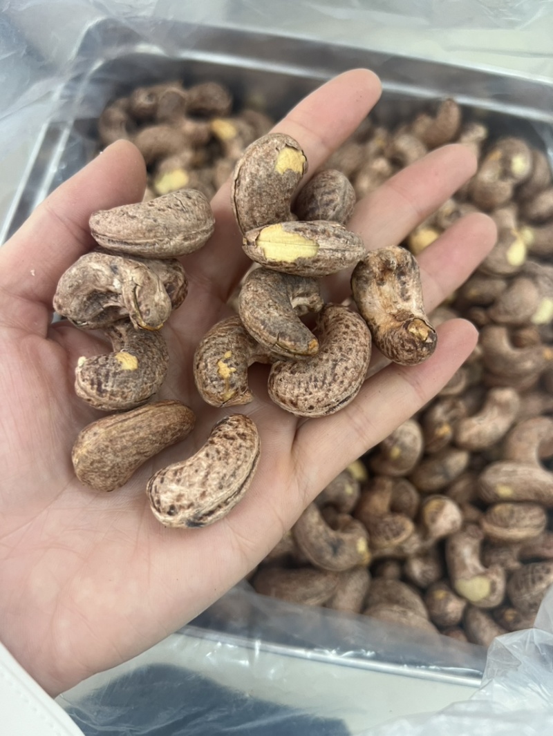 紫衣腰果180大果商超货