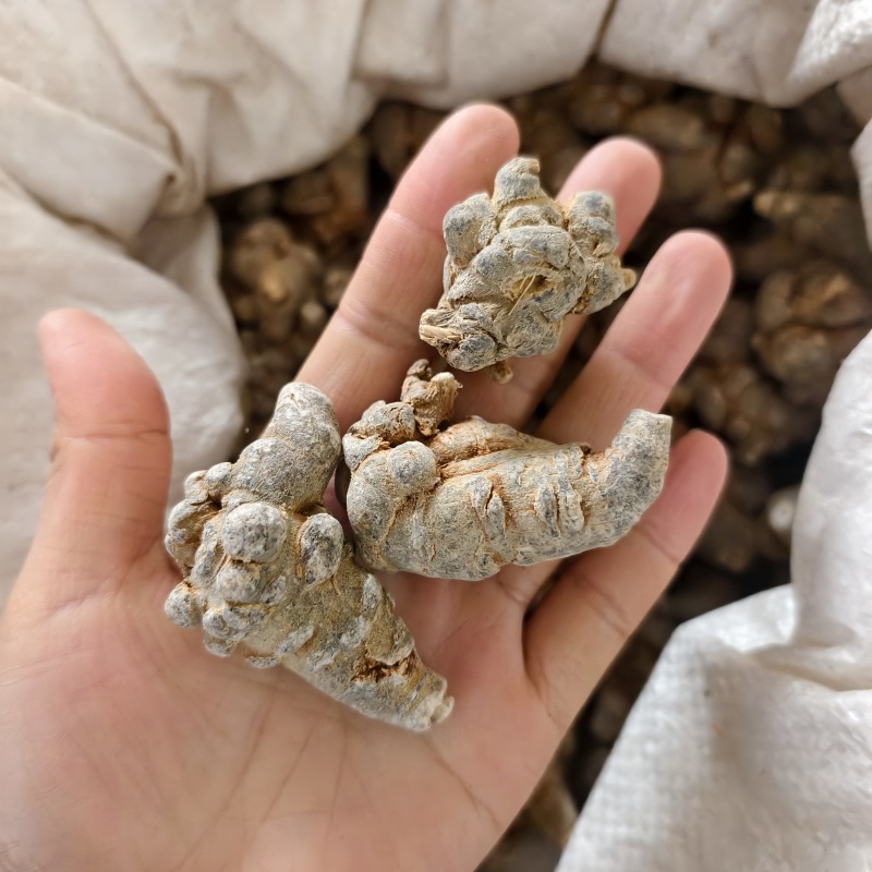 三七20头30头40头60头现货打粉产地云南