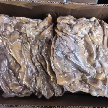 【熟牛杂】熟牛心管