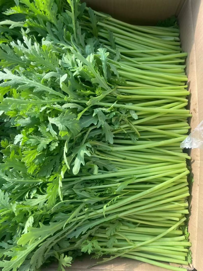 精品纸箱茼蒿