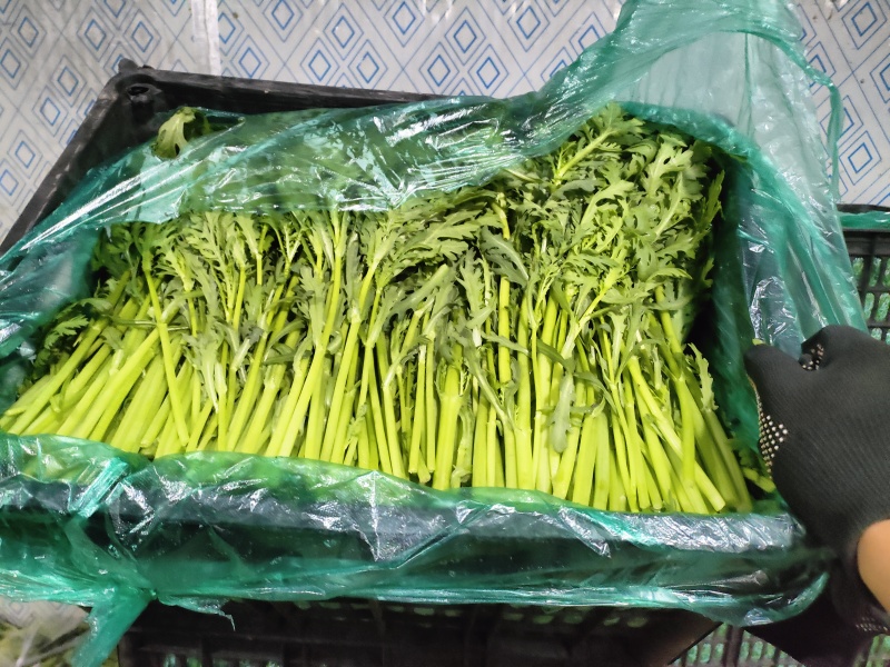 精品纸箱茼蒿