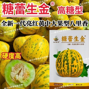 糖蕾生金甜瓜种子高糖中大果八里香杂交甜瓜种籽果皮亮红黄果