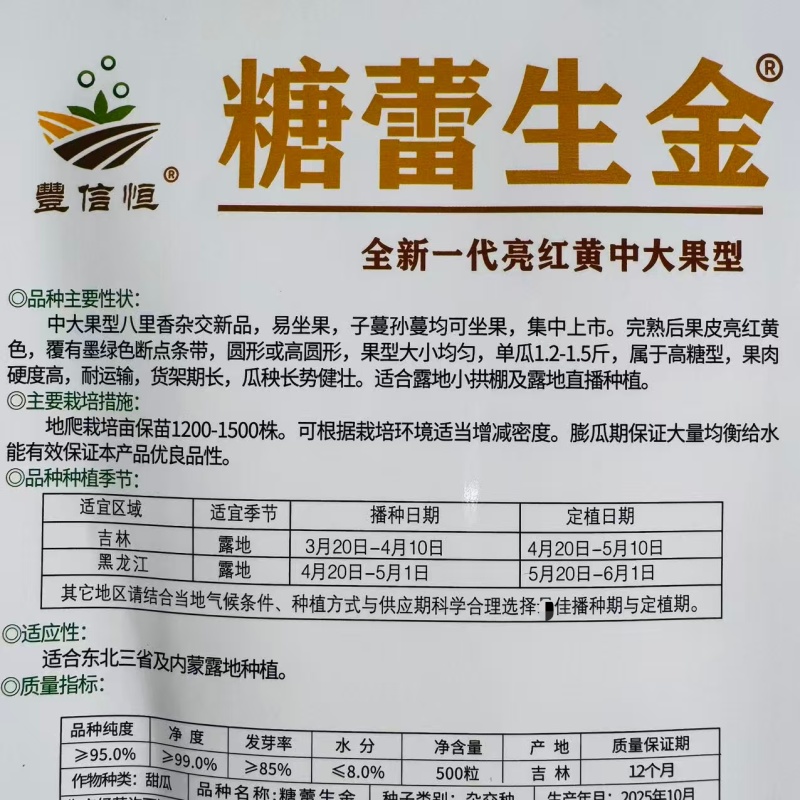 糖蕾生金甜瓜种子高糖中大果八里香杂交甜瓜种籽果皮亮红黄果