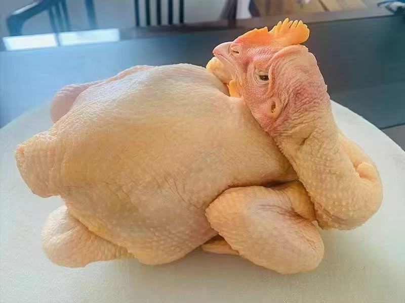 清远三黄鸡鸡肉一手货源现杀现发量大从优欢迎咨询
