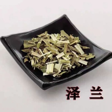 泽兰新货草泽兰泽兰叶泽兰杆中药材草药大货批发零售