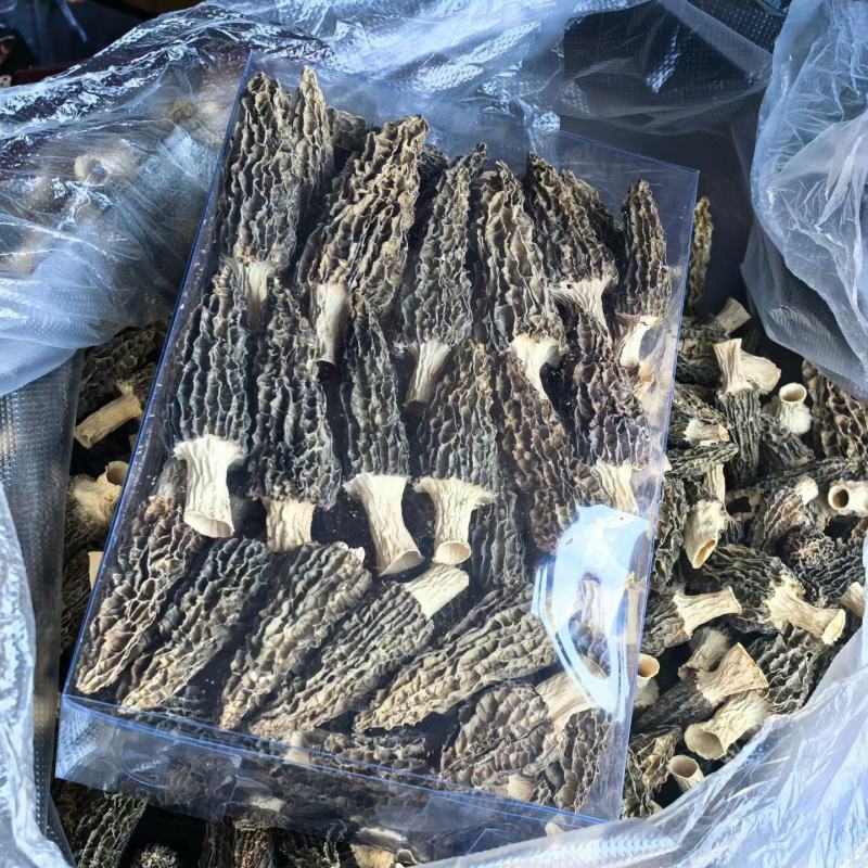 云南普洱澜沧拉祜族自治县羊肚菌干货批发