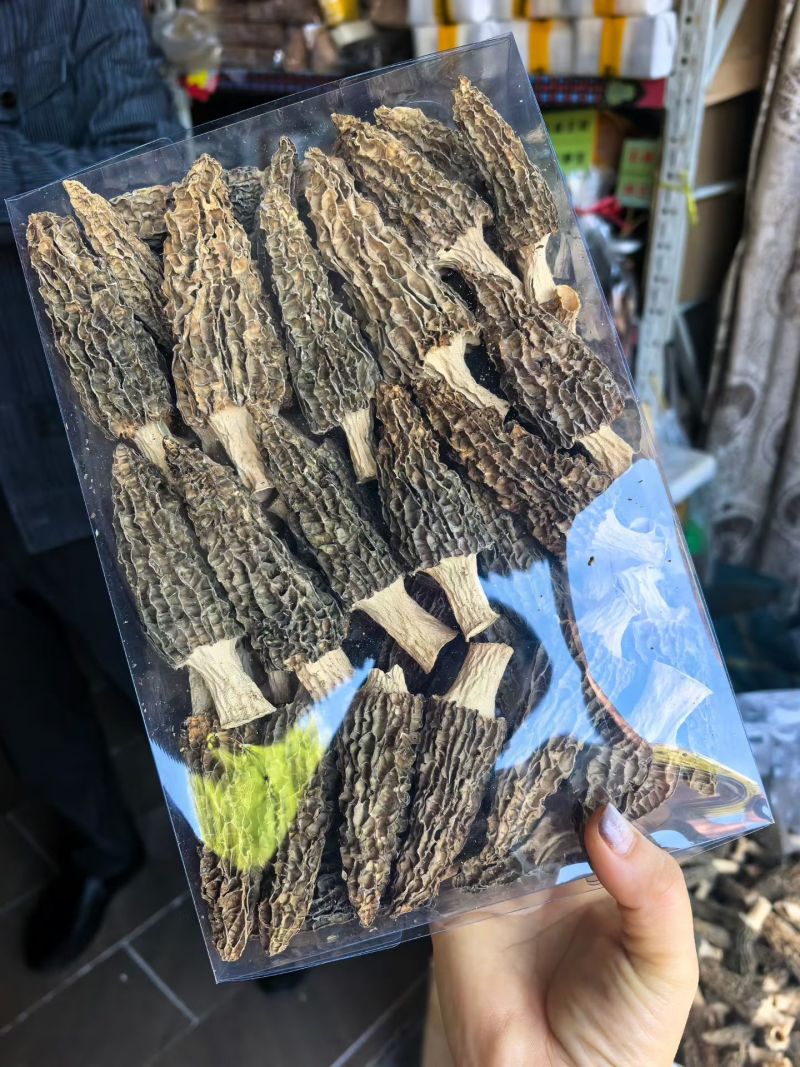 云南普洱澜沧拉祜族自治县羊肚菌干货批发