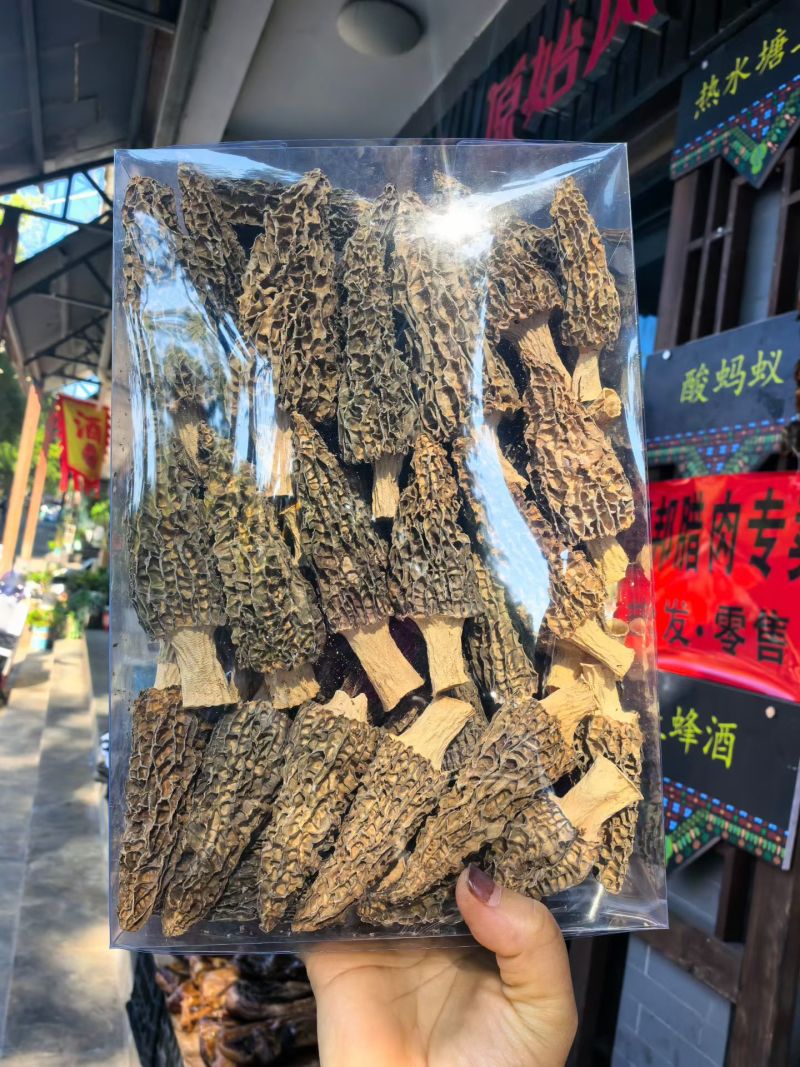 云南普洱澜沧拉祜族自治县羊肚菌干货批发