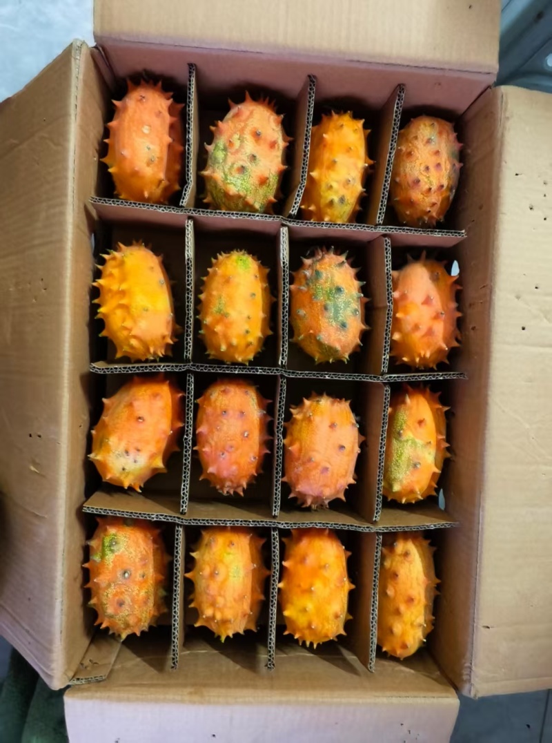 海南火参果新鲜批发全国发货