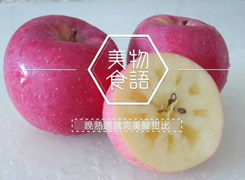 静宁富士