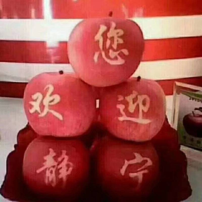 静宁苹果