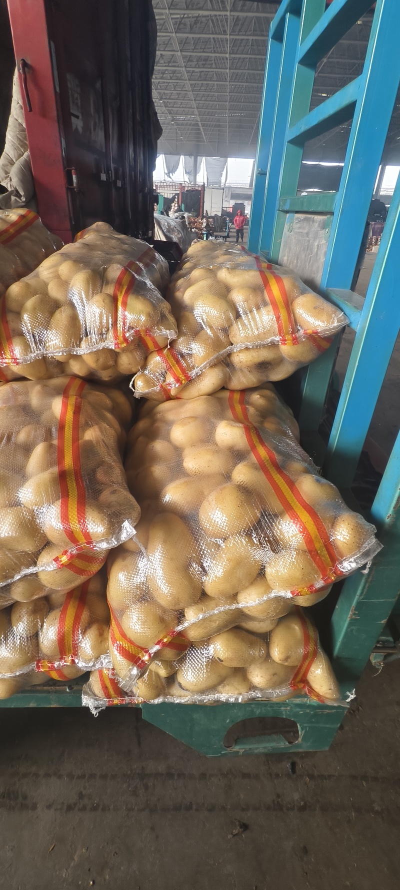 精品黄心土豆可供市场商超食堂需要的联系我