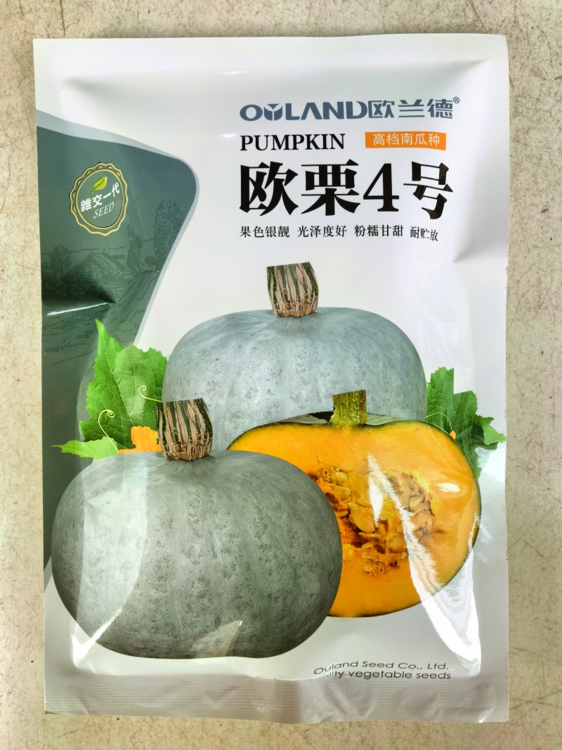 欧栗4号银栗南瓜种子银皮大贝贝南瓜粉糯香甜甘面板栗南瓜种