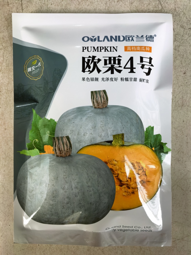 欧栗4号银栗南瓜种子银皮大贝贝南瓜粉糯香甜甘面板栗南瓜种