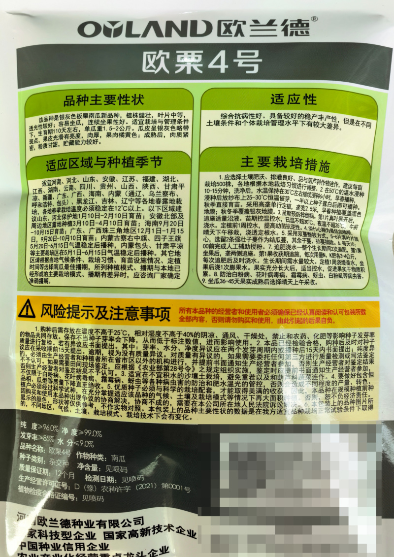 欧栗4号银栗南瓜种子银皮大贝贝南瓜粉糯香甜甘面板栗南瓜种