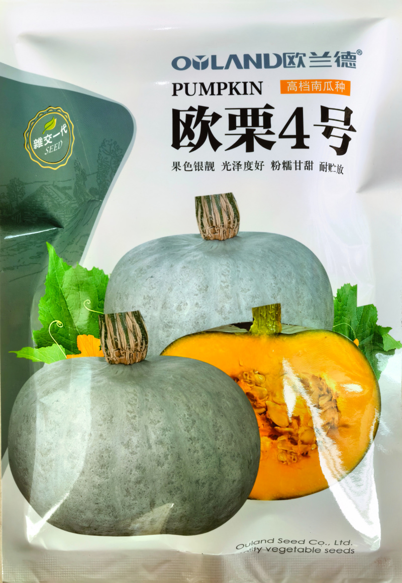 欧栗4号银栗南瓜种子银皮大贝贝南瓜粉糯香甜甘面板栗南瓜种