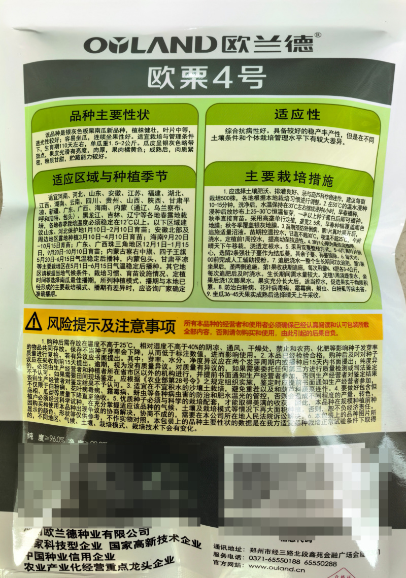 欧栗4号银栗南瓜种子银皮大贝贝南瓜粉糯香甜甘面板栗南瓜种