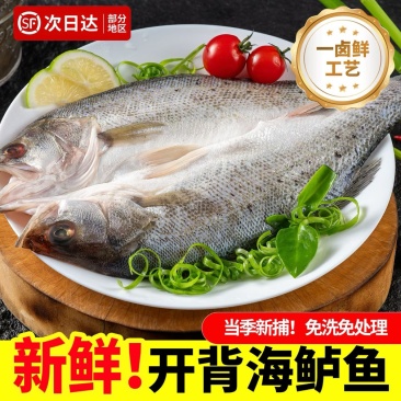 海鲈鱼，去鳃，去鳞，去内脏，新鲜锁冻，无冰
