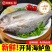海鲈鱼，去鳃，去鳞，去内脏，新鲜锁冻，无冰