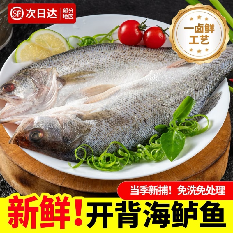 海鲈鱼，去鳃，去鳞，去内脏，新鲜锁冻，无冰