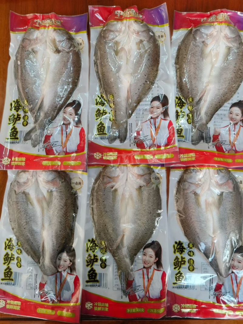 海鲈鱼，去鳃，去鳞，去内脏，新鲜锁冻，无冰