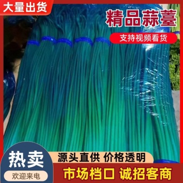 出售冷库精品蒜苔，一斤一把，大量有货，一吨起批