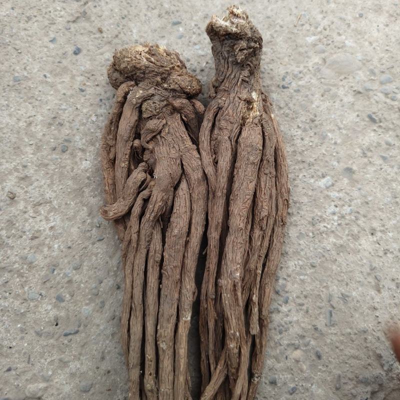 无硫精品半成品当归量大从优可视频看货产地直发一手货源