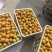 金太阳杏通货（精品）欢迎新老客户前来选购。