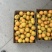 金太阳杏通货（精品）欢迎新老客户前来选购。